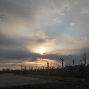 另类videos娇小另类仙踪林
